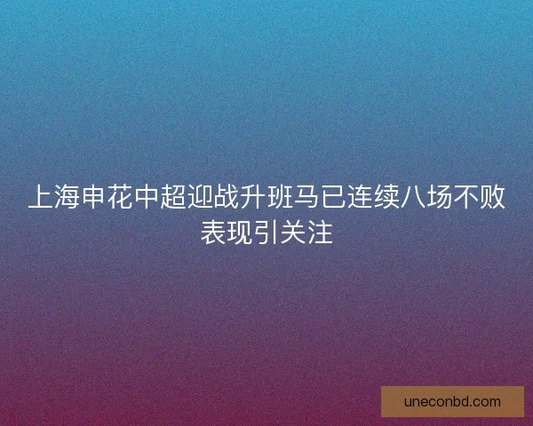 上海申花中超迎战升班马已连续八场不败表现引关注